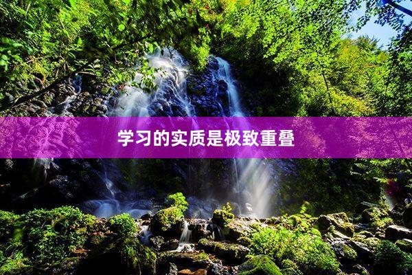 学习的实质是极致重叠