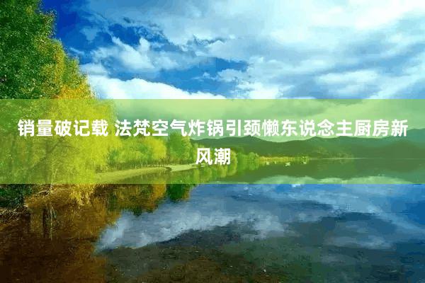 销量破记载 法梵空气炸锅引颈懒东说念主厨房新风潮