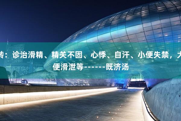 转：诊治滑精、精关不固、心悸、自汗、小便失禁，大便滑泄等------既济汤