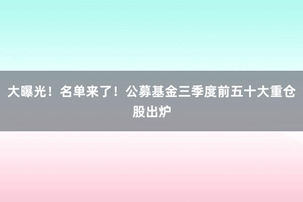 大曝光！名单来了！公募基金三季度前五十大重仓股出炉
