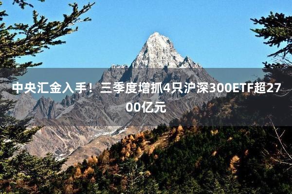 中央汇金入手！三季度增抓4只沪深300ETF超2700亿元