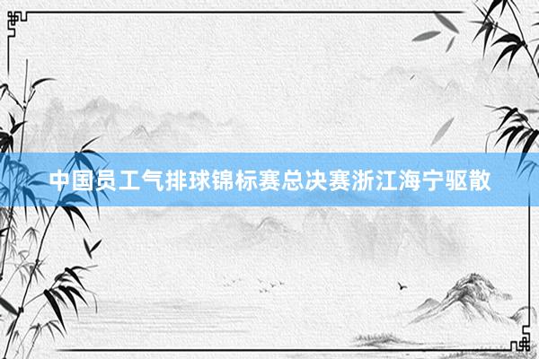 中国员工气排球锦标赛总决赛浙江海宁驱散
