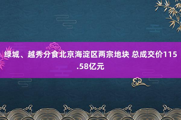 绿城、越秀分食北京海淀区两宗地块 总成交价115.58亿元