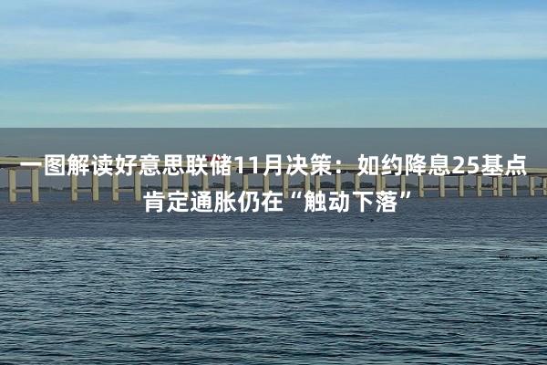 一图解读好意思联储11月决策：如约降息25基点 肯定通胀仍在“触动下落”