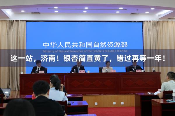 这一站，济南！银杏简直黄了，错过再等一年！