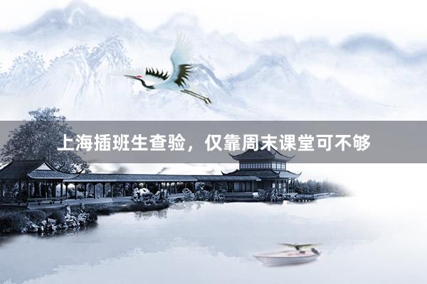 上海插班生查验，仅靠周末课堂可不够