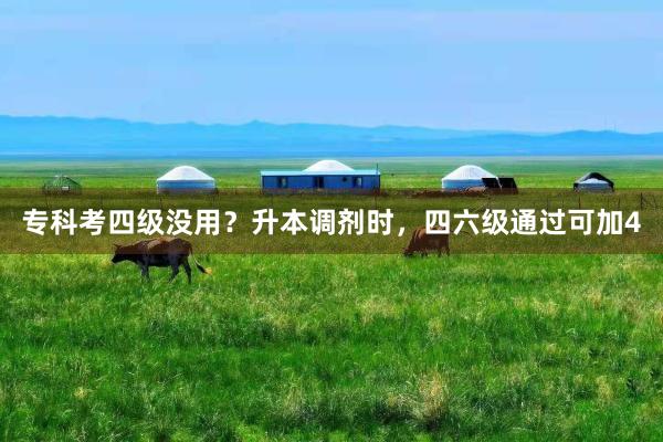 专科考四级没用？升本调剂时，四六级通过可加4
