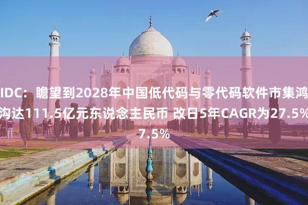 IDC：瞻望到2028年中国低代码与零代码软件市集鸿沟达111.5亿元东说念主民币 改日5年CAGR为27.5%