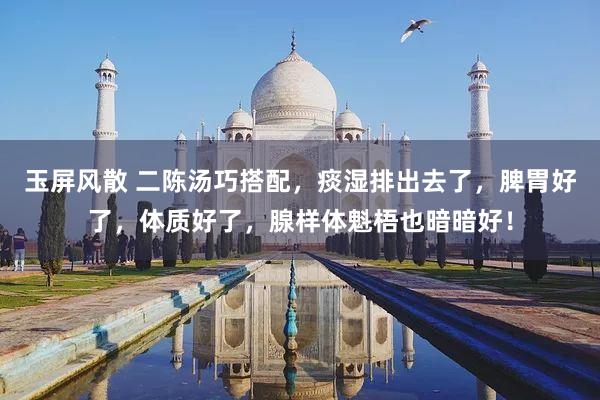 玉屏风散 二陈汤巧搭配，痰湿排出去了，脾胃好了，体质好了，腺样体魁梧也暗暗好！