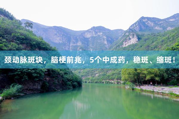 颈动脉斑块，脑梗前兆，5个中成药，稳斑、缩斑！