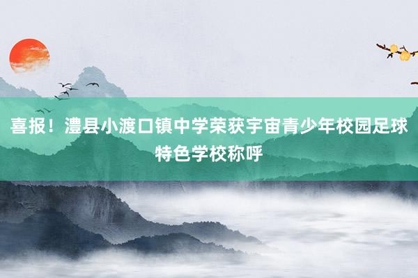喜报！澧县小渡口镇中学荣获宇宙青少年校园足球特色学校称呼