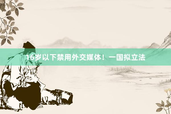 16岁以下禁用外交媒体！一国拟立法
