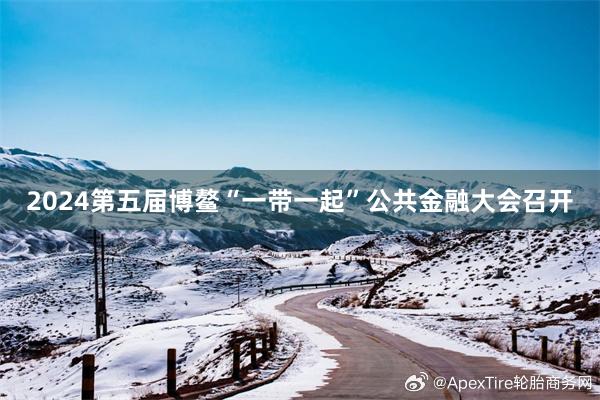 2024第五届博鳌“一带一起”公共金融大会召开