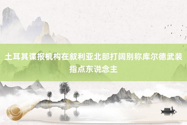 土耳其谍报机构在叙利亚北部打阔别称库尔德武装指点东说念主