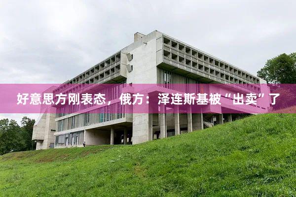 好意思方刚表态，俄方：泽连斯基被“出卖”了