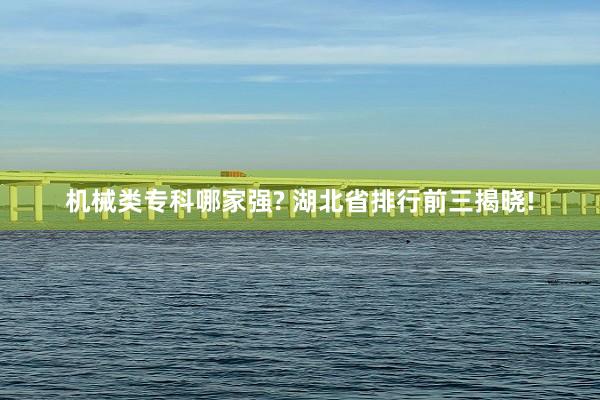 机械类专科哪家强? 湖北省排行前三揭晓!