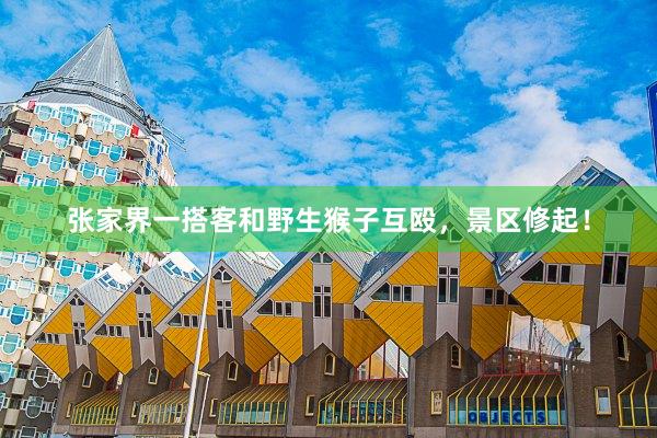 张家界一搭客和野生猴子互殴,景区修起!