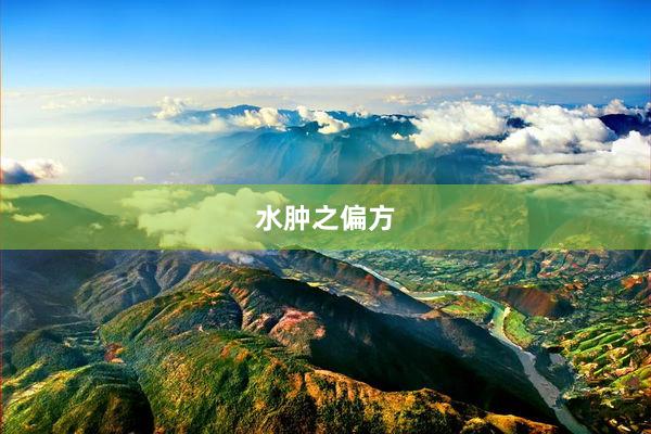 水肿之偏方